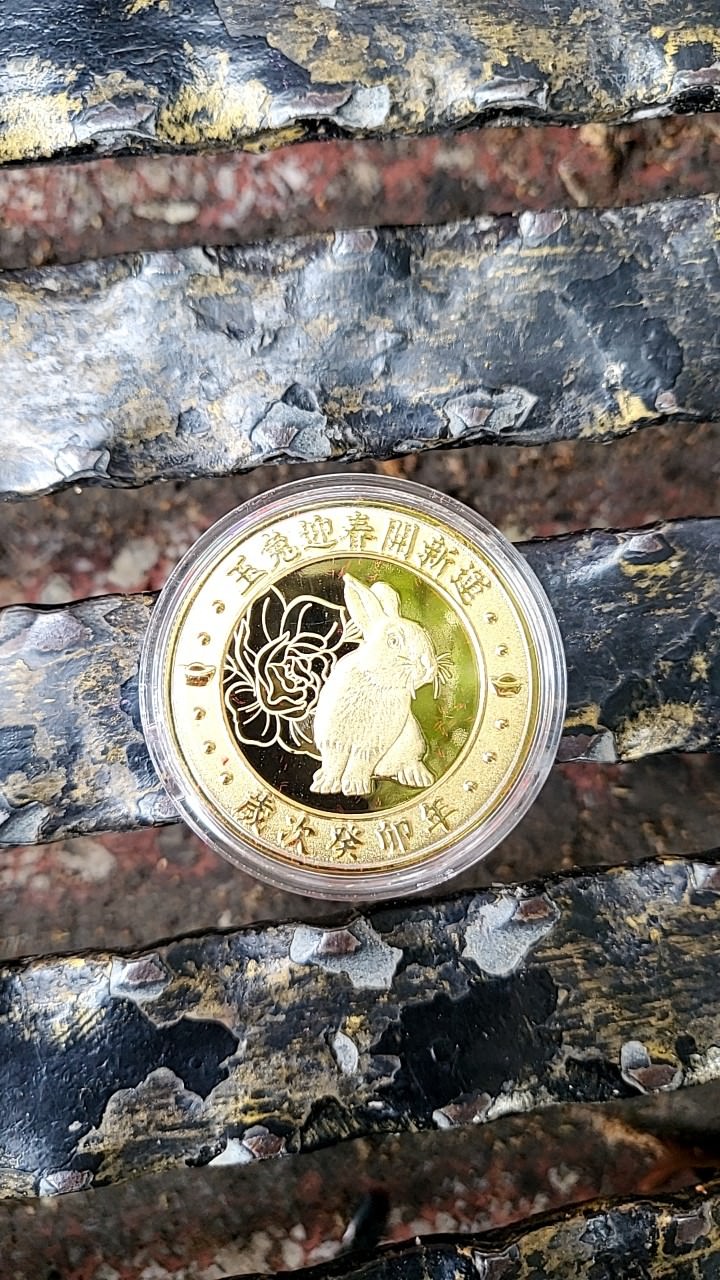 紫南宮金幣